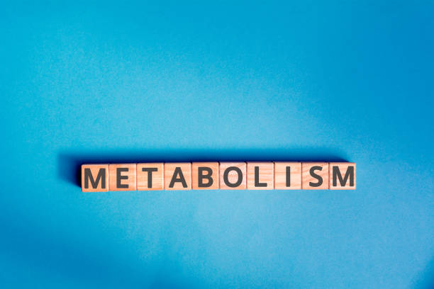 Metabolic Adaptation